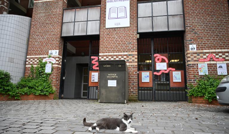 Les saisons littéraires 