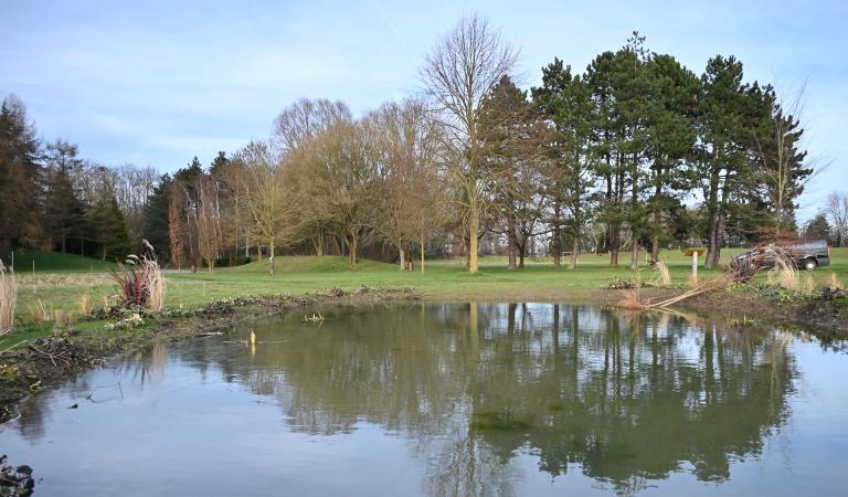 micro forêt aux abords de la mare !