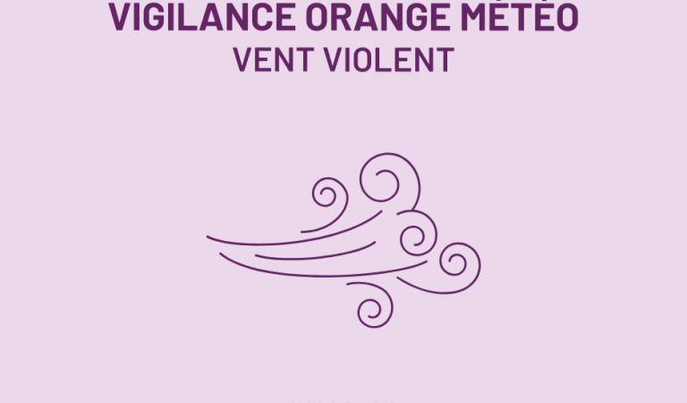 Vigilance vent violent