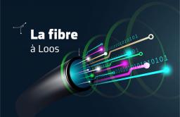 fibre