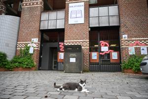 Les saisons littéraires 