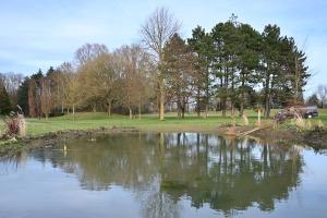 micro forêt aux abords de la mare !