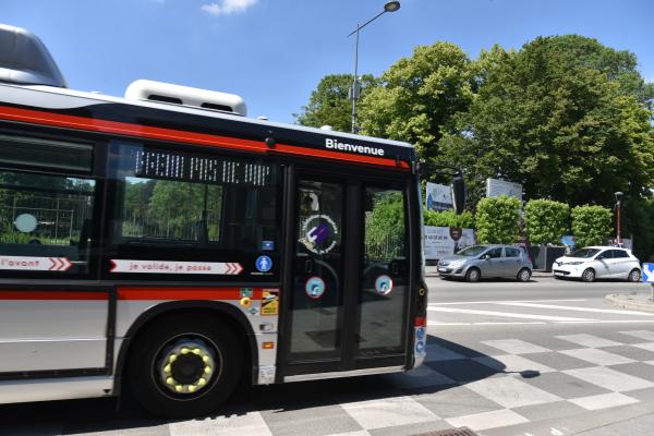 Bus