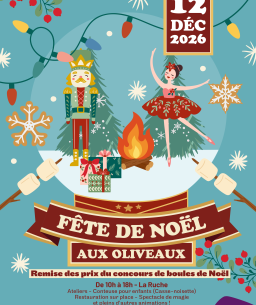 animation de noel