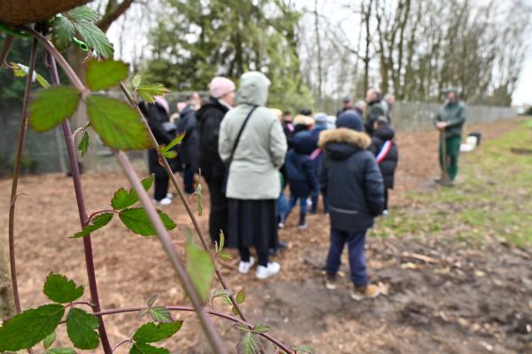 Verger participatif