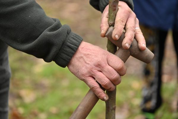 Verger participatif