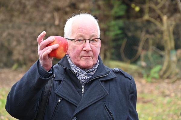 Verger participatif