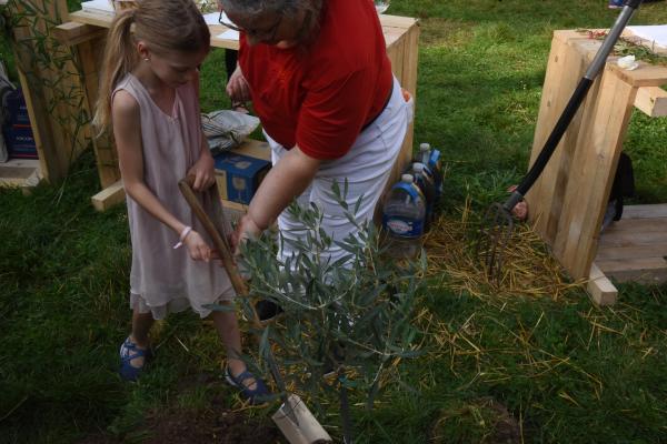 jardin partagé "Les Olivettes"