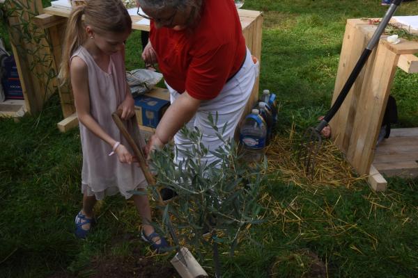 jardin partagé &amp;quot;Les Olivettes&amp;quot;