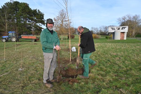 Plantation d'une micro forêt au Parc de Loisirs