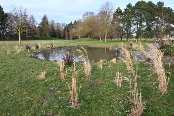 Plantation d'une micro forêt au Parc de Loisirs