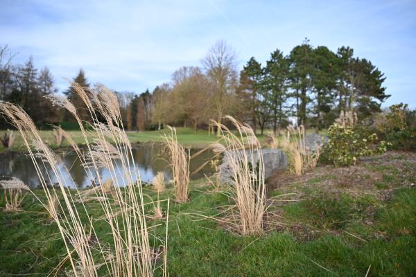 Plantation d'une micro forêt au Parc de Loisirs