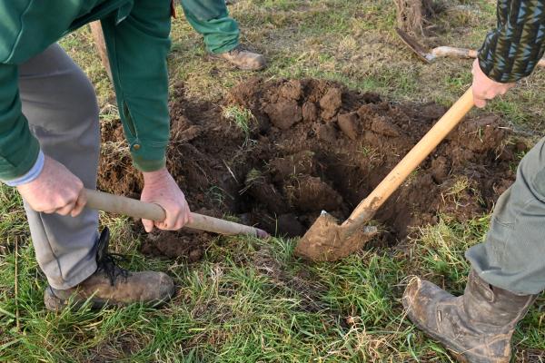 Plantation d'une micro forêt au Parc de Loisirs
