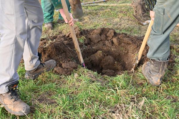 Plantation d'une micro forêt au Parc de Loisirs
