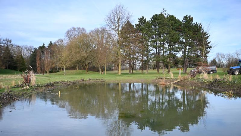micro forêt aux abords de la mare !