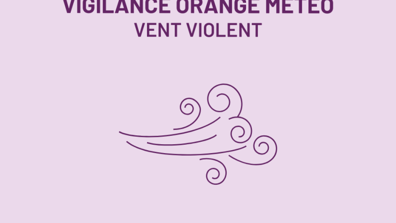 Vigilance vent violent